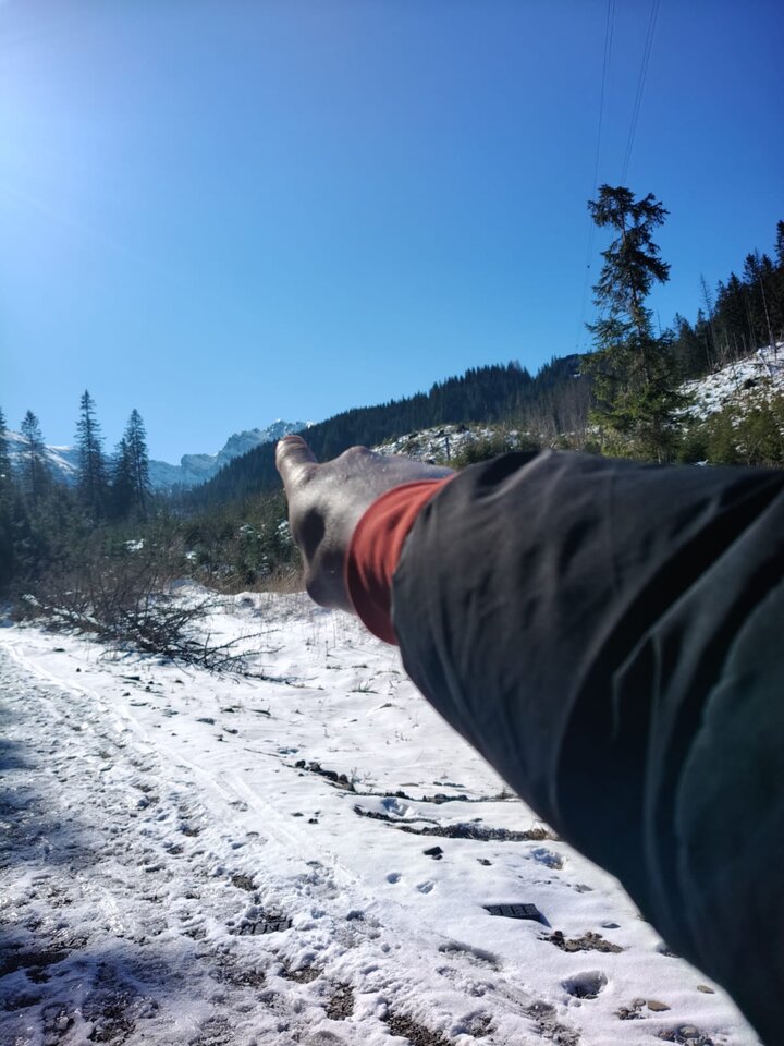 1000010536.jpg - Bull_Masters