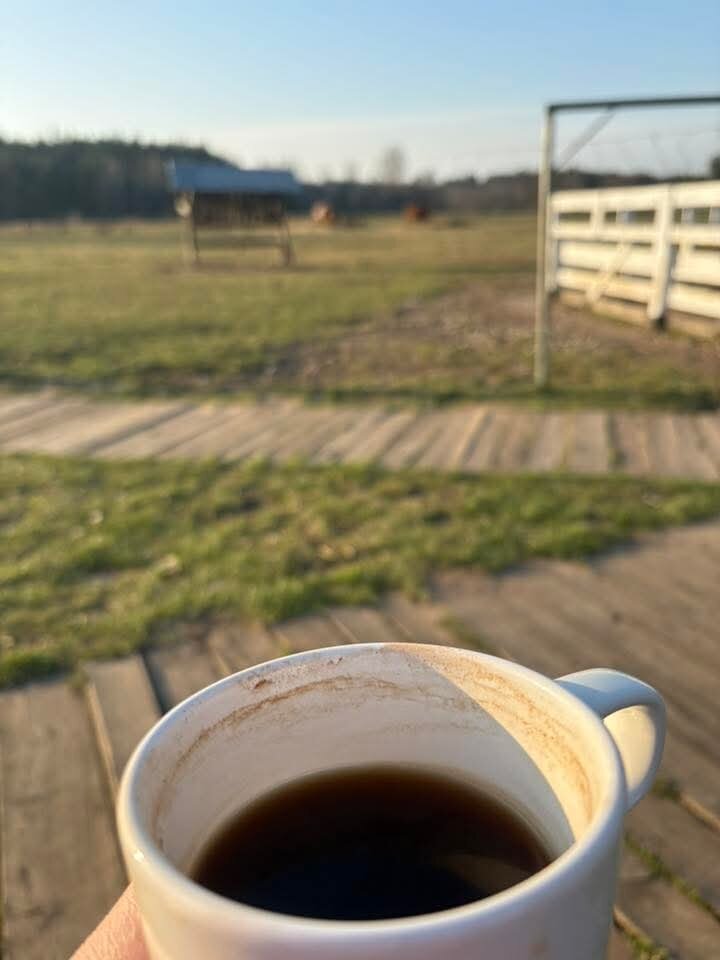 FB_IMG_1749143028474.jpg - fajnalaskaobciagarka