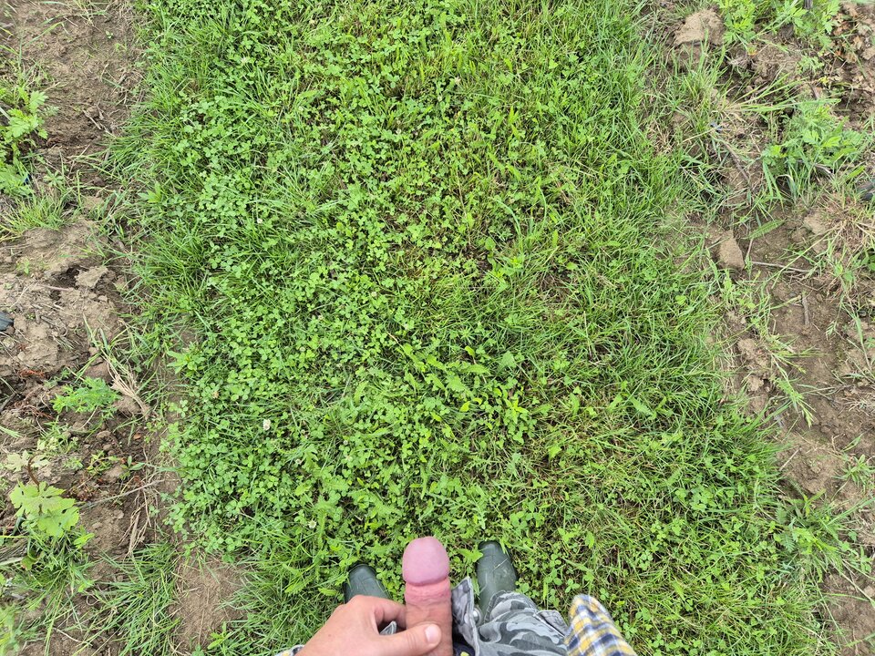 1000011804.jpg - BESTIALITY