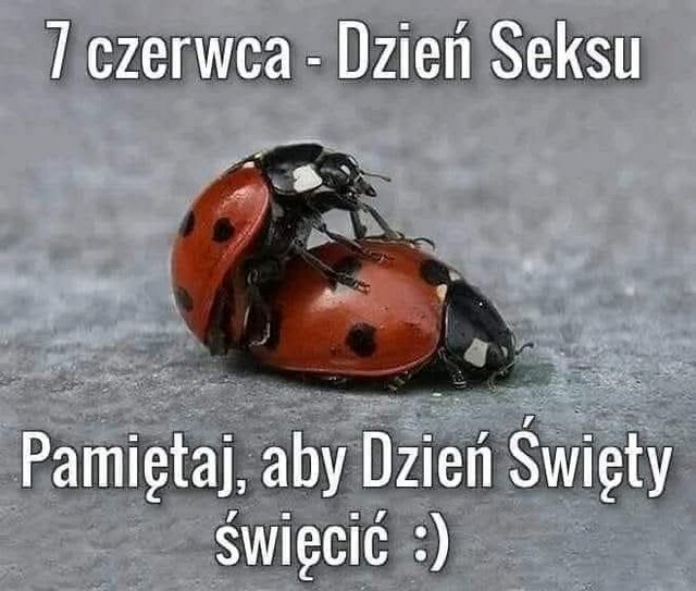 Boskialvaro18