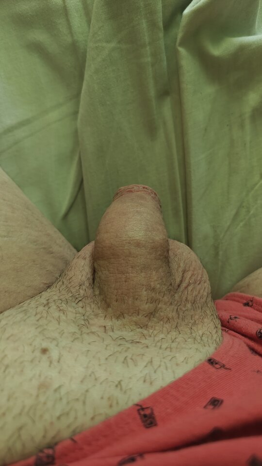 1000001521.jpg - fajnykutasek25