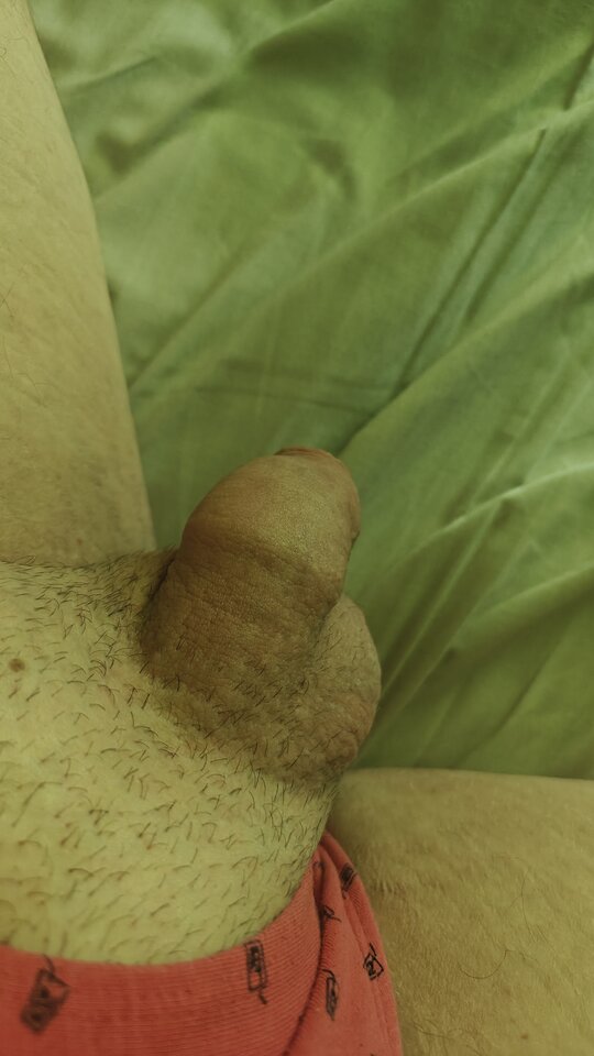 1000001525.jpg - fajnykutasek25