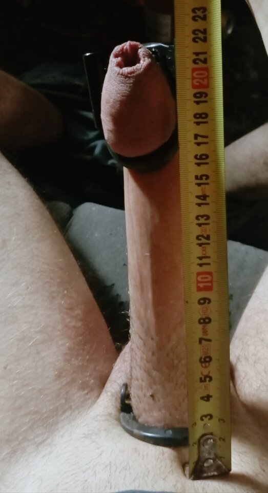 1000002087.jpg - Pepe9105