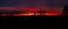 IMG_20250514.jpg