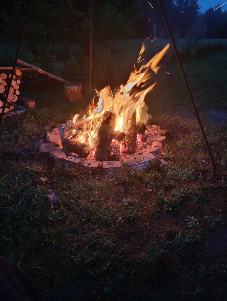 1000004096.jpg - sylwanoo