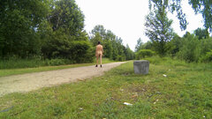 BRZEZINY - alejka z parkiem 20250606_1550.mp4_snapshot_00.09_[20