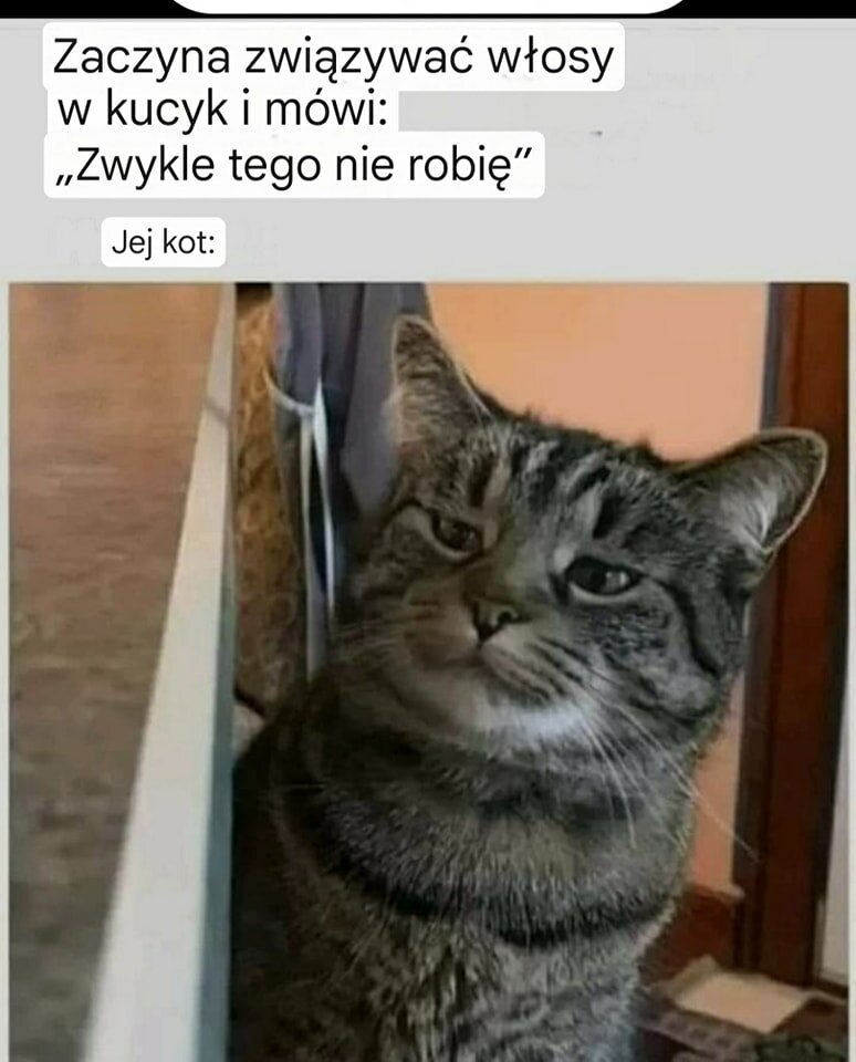 502585454_1219926676591970_8975211221536793798_n.jpg - buhajlodz