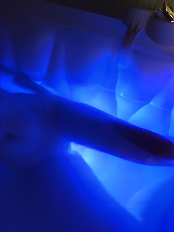 1000036411.jpg - sszukamy