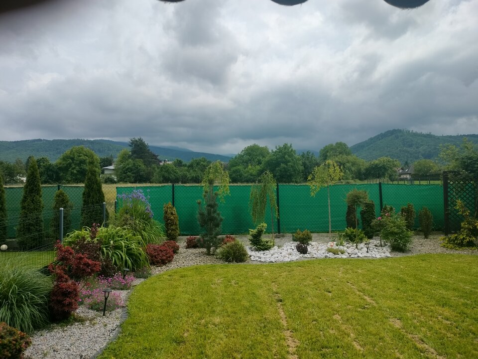 1000007605.jpg - TransKitty