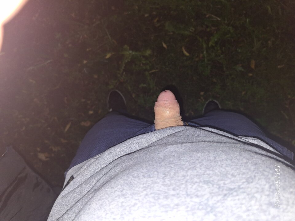 1000014979.jpg - TomaszK4444