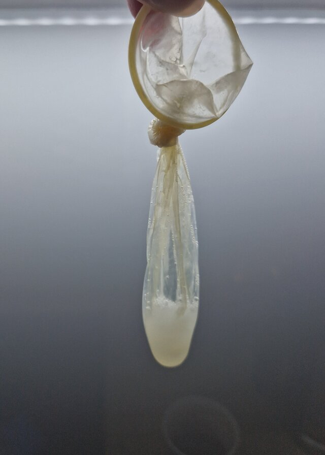 AnalnaSandra