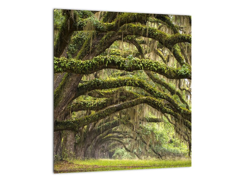 main.jpg - OtwartaParaCuckold