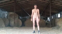 Stodoła - 20250608_1122.mp4_snapshot_02.26.516.jpg