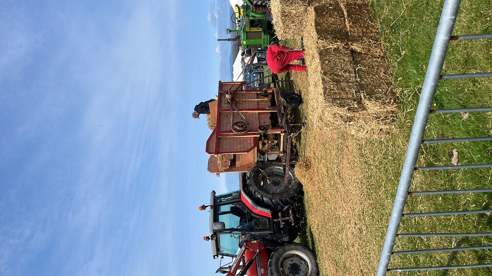 742E00C1-23E6-4A6F-AA36-335E80D07CDC.jpeg - tom745