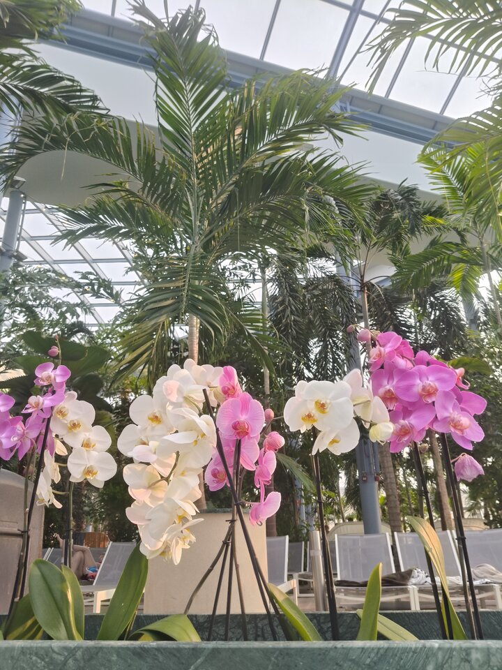 1000023614.jpg - Ioanna85