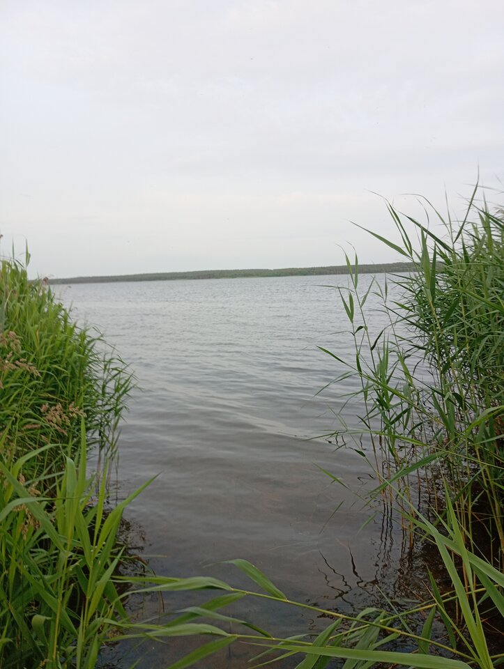 1000000257.jpg - blondyn22222