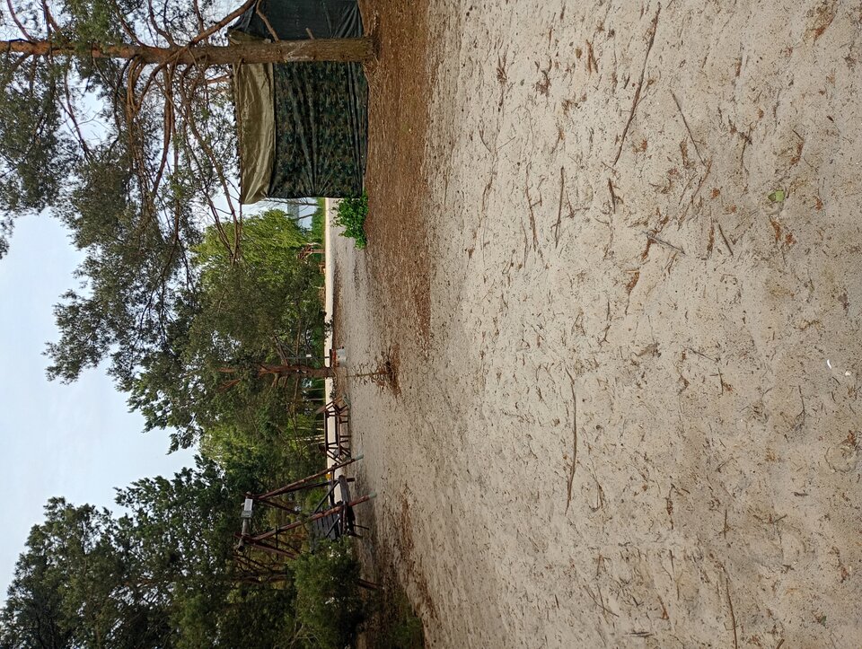 1000000262.jpg - blondyn22222