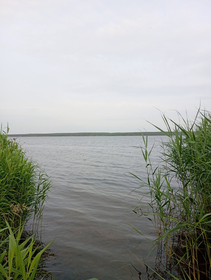 1000000253.jpg - blondyn22222