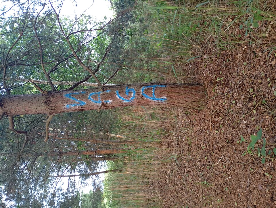 1000000252.jpg - blondyn22222