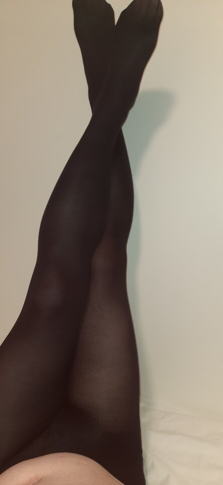 17494101118617038977145336113425.jpg - Palciusia