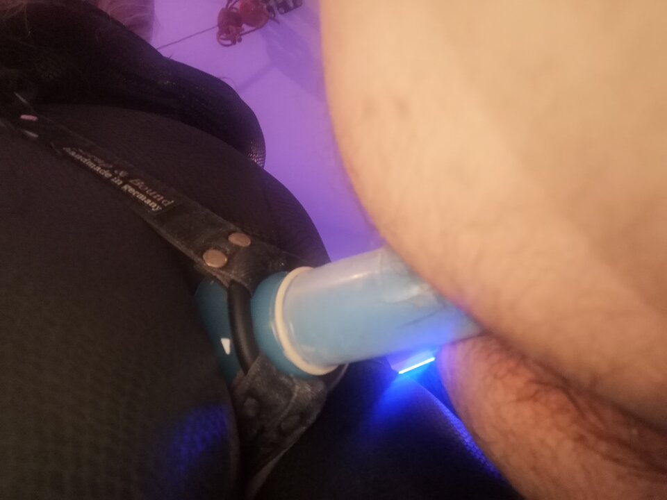 IMG_20250608_202637.jpg - PaniZpieskiem