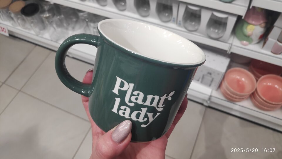 IMG_20250520_160707.jpg - Nicci