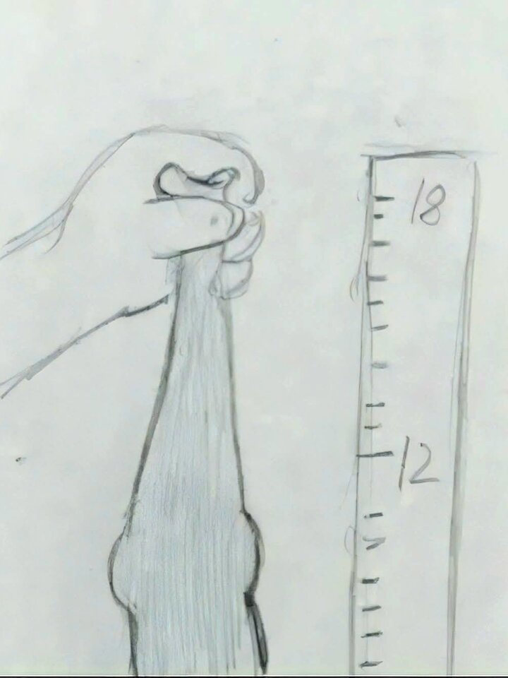 1000058122.jpg - wtyczka0gniazdko