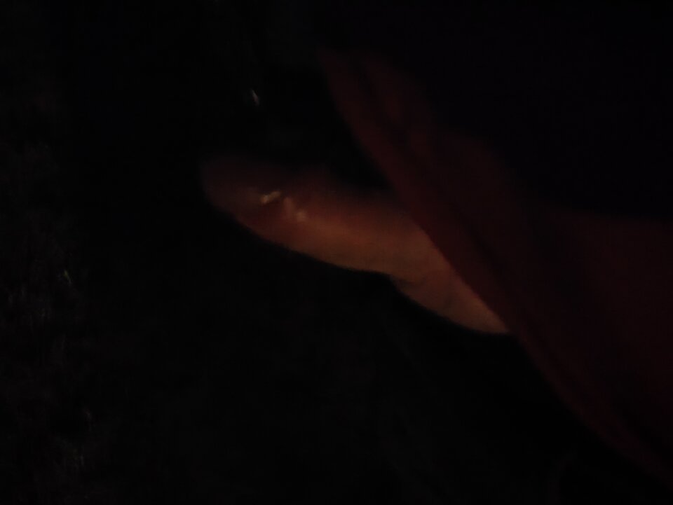 IMG_20250610_000805.jpg - Edi170mm