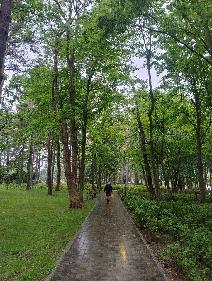 IMG_20250610_153342.jpg - JaDankaOnWacek