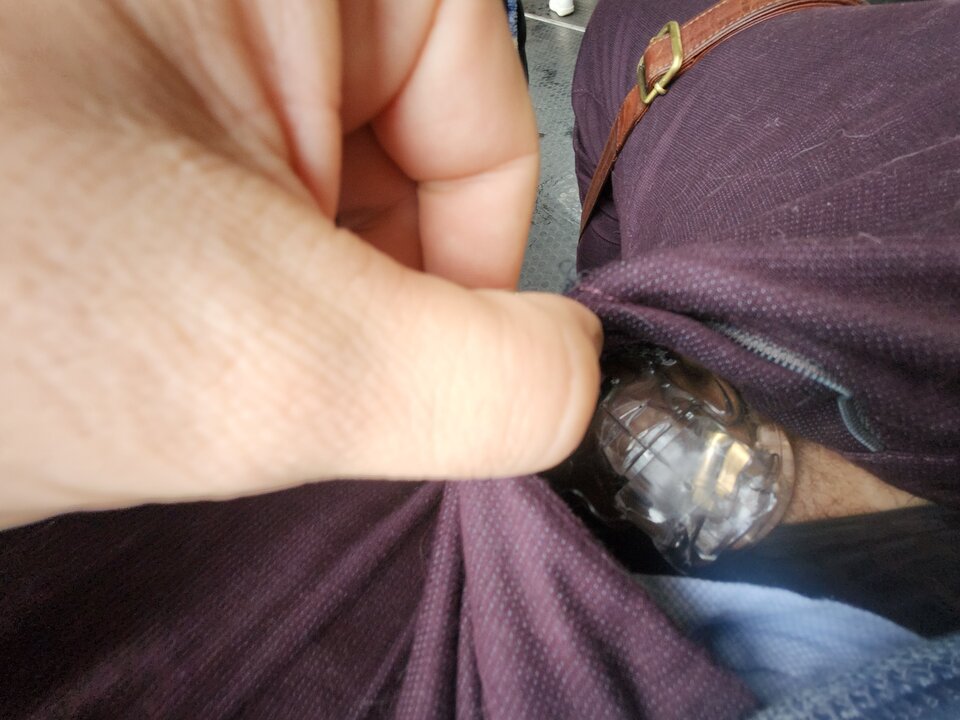 20250611_073715.jpg - zabbaffalodz