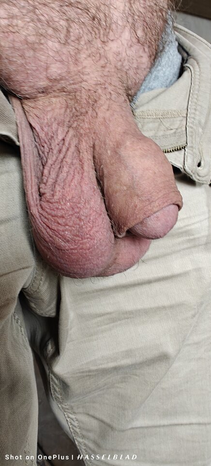 1000014591.jpg - jogan