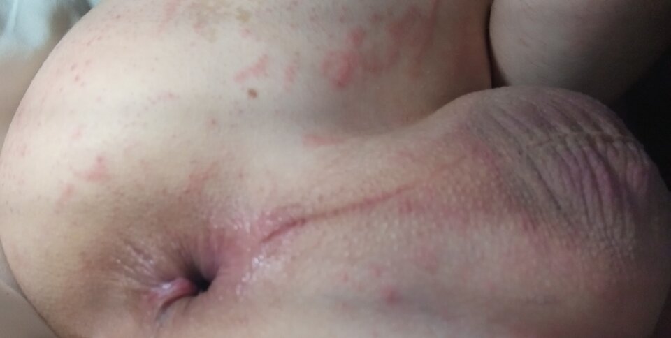 20250611_044148~2.jpg - abac1991