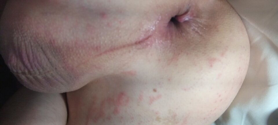 20250611_044148.jpg - abac1991