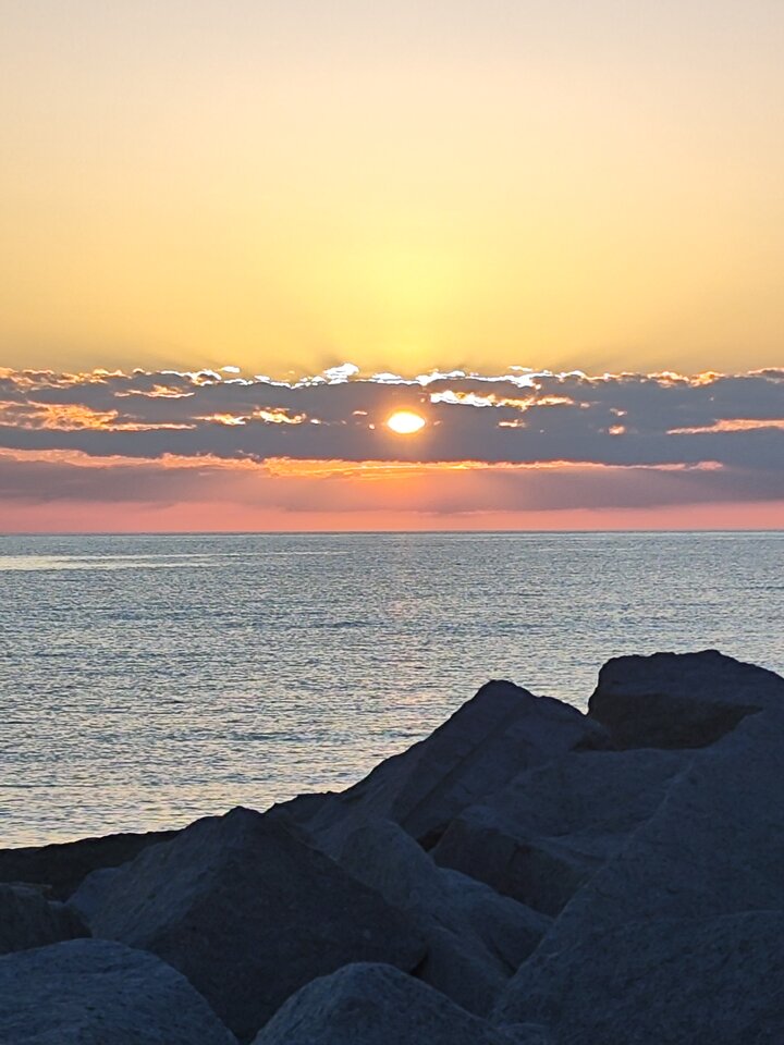 1000018022.jpg - tom6970