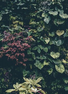 IMG_5813.jpeg