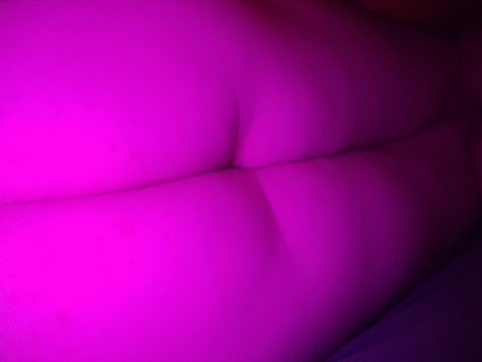 IMG_20240504_074420.jpg - Czarnamandarynka