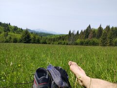 IMG_20230528_113114.jpg