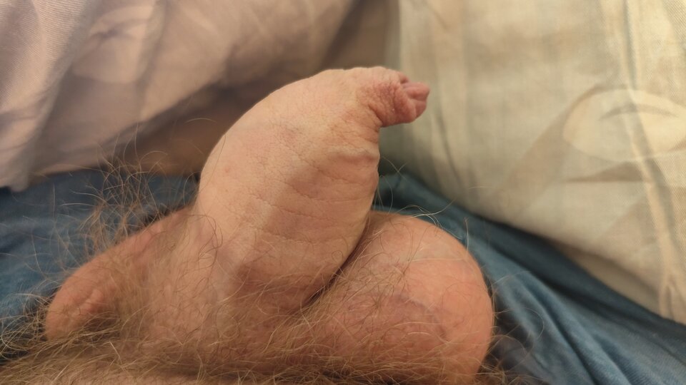 1000002708.jpg - On39unibi