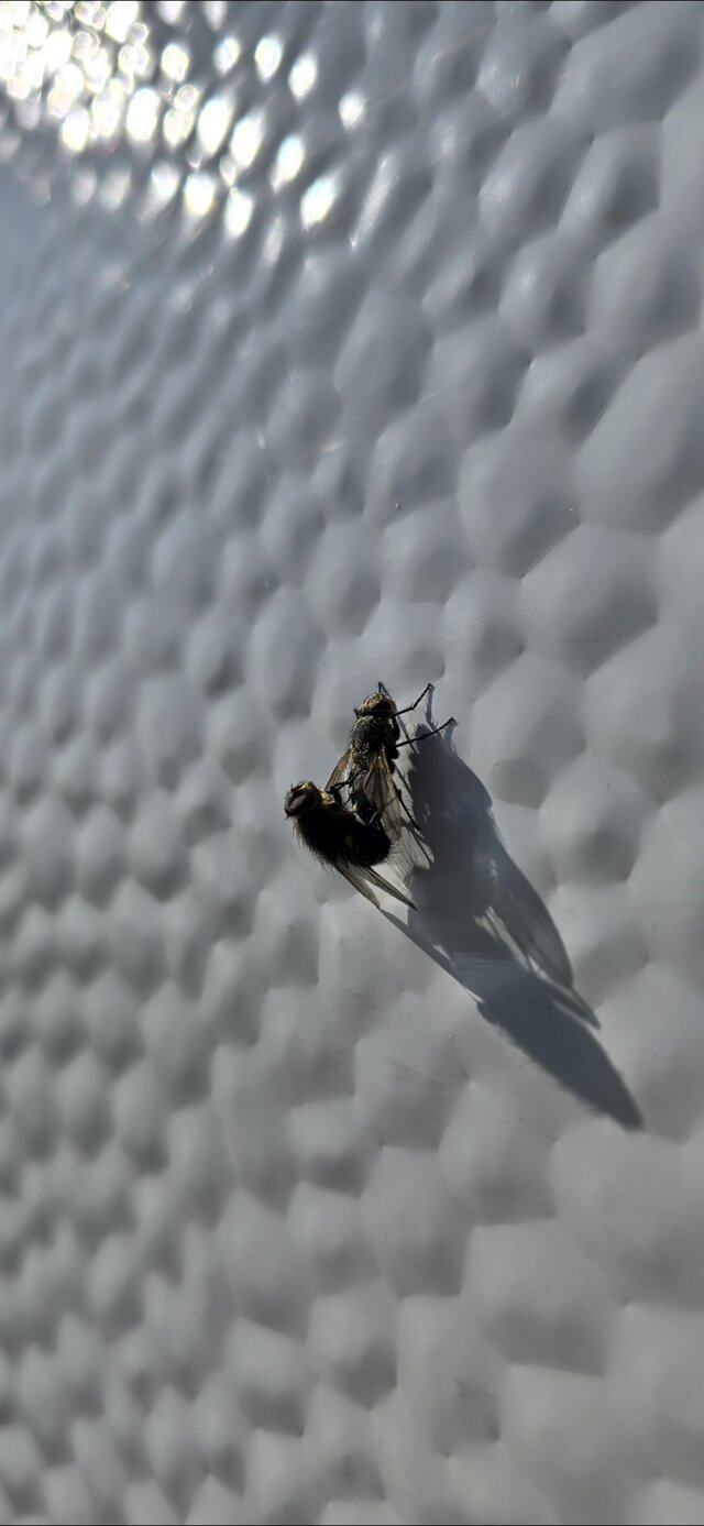 PoczatkujacyNaturysci