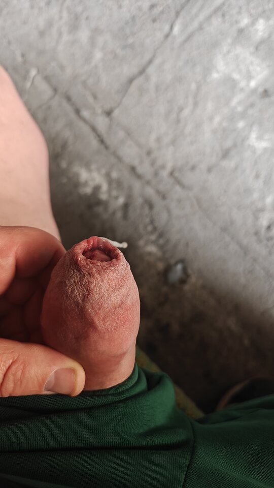 1000001581.jpg - fajnykutasek25