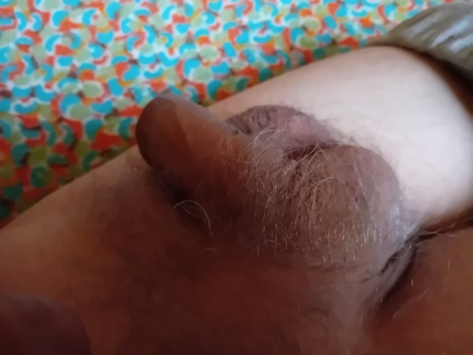 1000007666.jpg - brus13