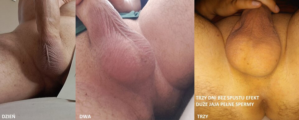 20250612_1050556.jpg - Bull4Hot