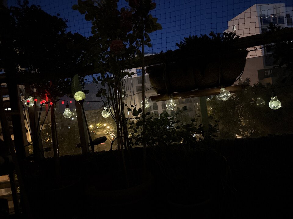 image.jpg - Mephisto84