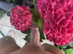 IMG_3500.jpeg