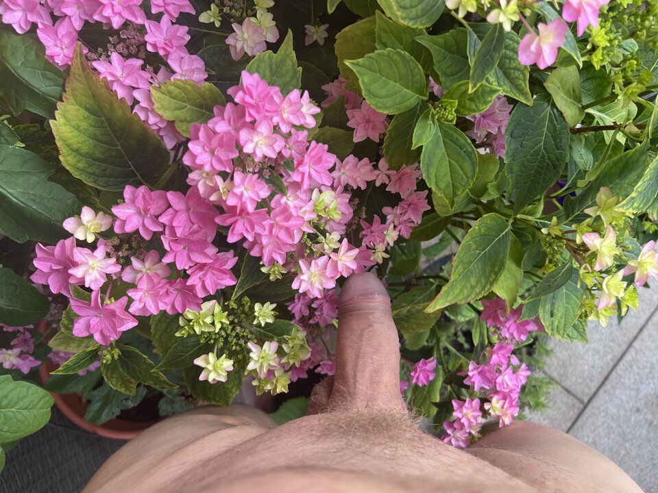 IMG_3499.jpeg - nrw670n