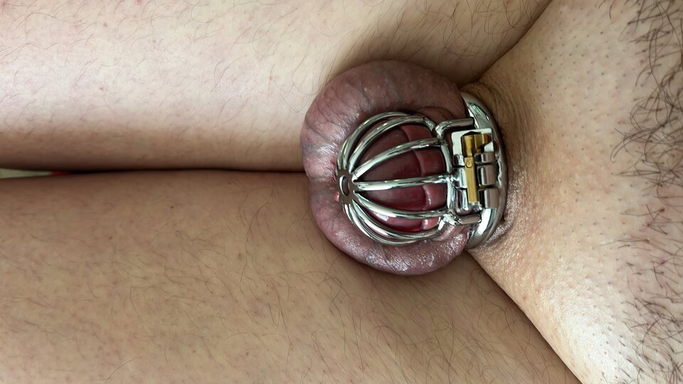 32BE6C6A-BAD5-4670-A2C7-03830856B504.jpeg - twpiotrtw1