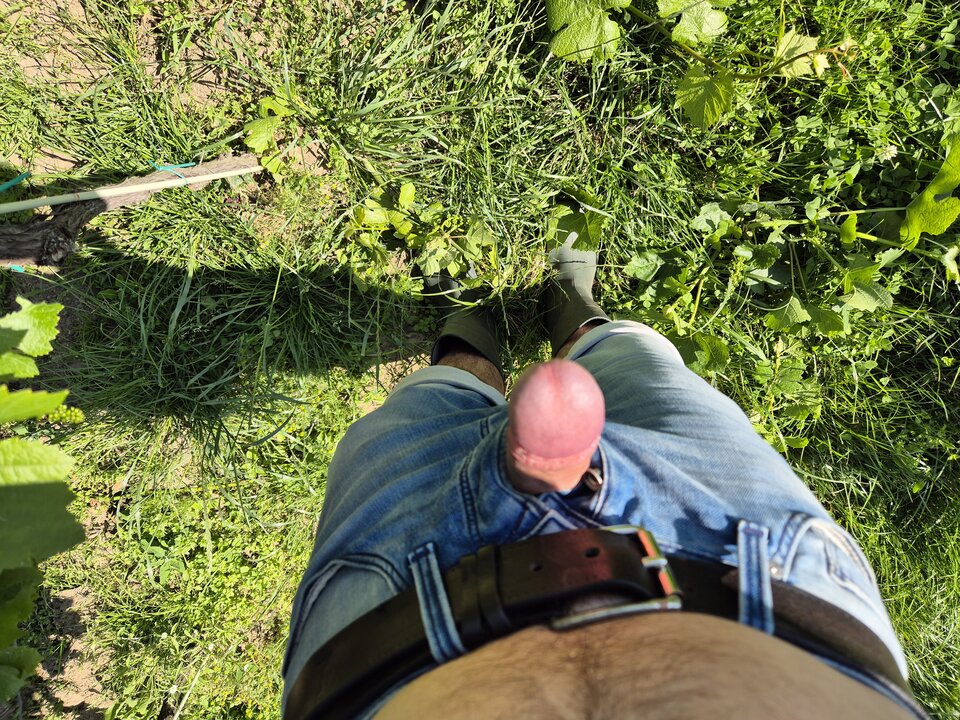 1000012448.jpg - BESTIALITY