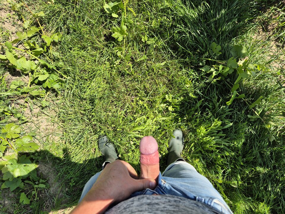 1000012458.jpg - BESTIALITY