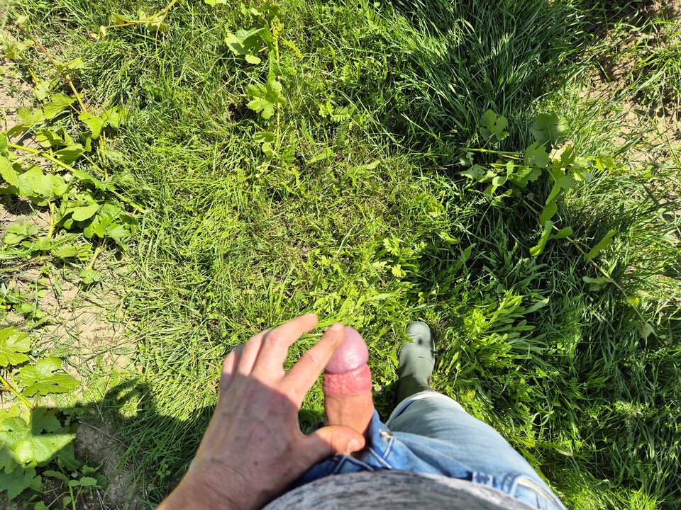 1000012460.jpg - BESTIALITY