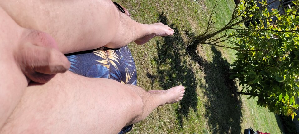 20250614_115150.jpg - Naturysta72